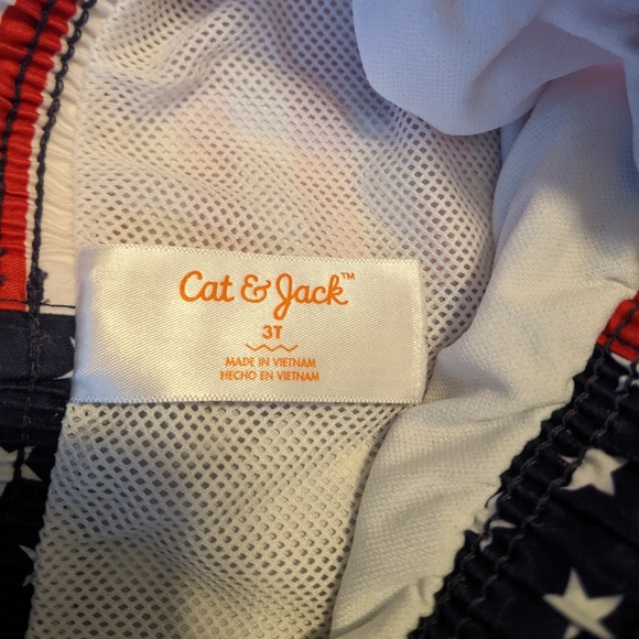 Toddler Boy Swim Trunks - Picture 3 of 3